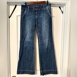 American Eagle Wide Leg Trouser Jeans